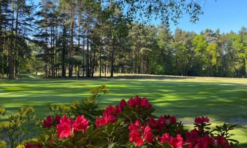 4-ball and 2 course meal at Sunningdale Heath Golf Club
