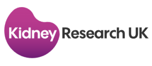 The Kidney Research UK Christmas Online Auction