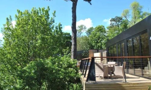 Tree house stay at Port Lympne