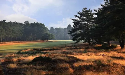 A unique playing lesson for three at Hankley Common Golf Club