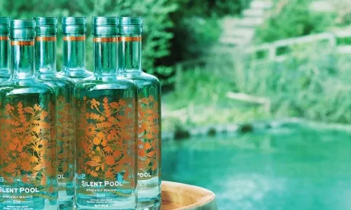Silent Pool distillery tour and gin tasting for two