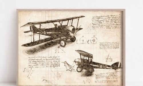 Aircraft Print Biplane by Stephen Fisher