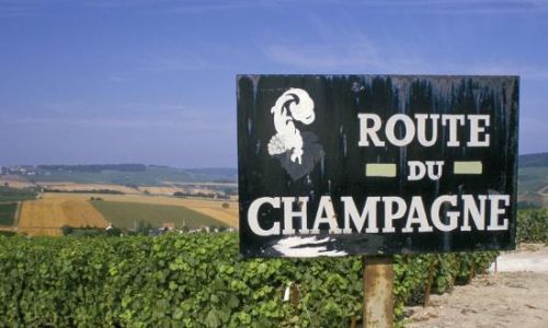 Champagne Lovers Trip To Reims