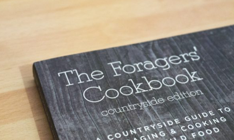 Forage and Cook Full Experience
