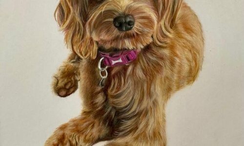 BESPOKE PAWTRAIT OF YOUR BELOVED PET