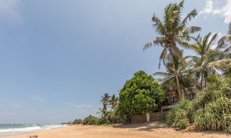 VISIT TFT PROJECTS AND STAY SEVEN NIGHTS AT ARAYLIA BEACH HOUSE, GALLE
