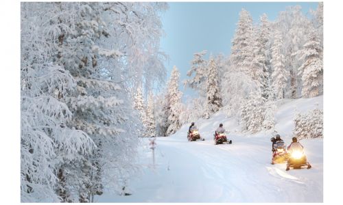 LIVE AUCTION LOT: Lapland Arctic Adventure Holiday