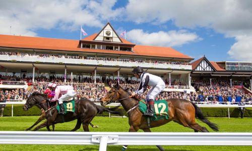 Chester Races Private Box with hotel for 4 (2 rooms)