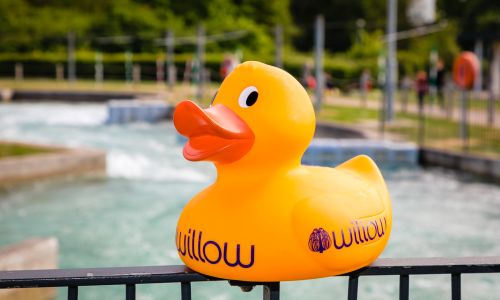 Willow’s Great Big Duck Race - Corporate Package