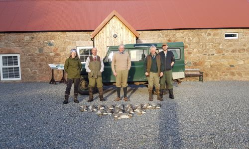 A day's ferreting and rabbit shooting for three guns