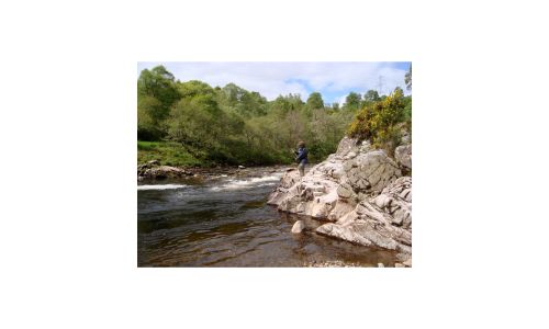 Three days' fishing at Glenferness on the Findhorn