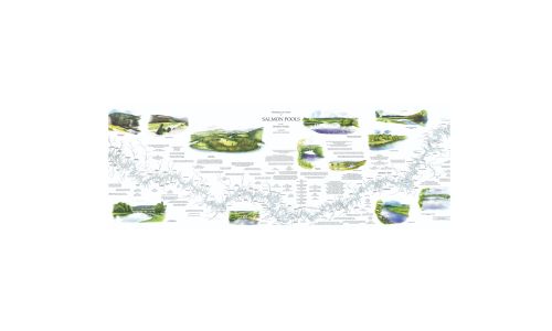 Four fishing river maps - Dee, Spey, Tay and Tweed