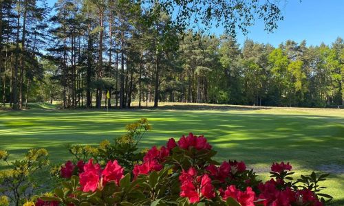 Fourball and a meal at Sunningdale Heath Golf Club for 4 people