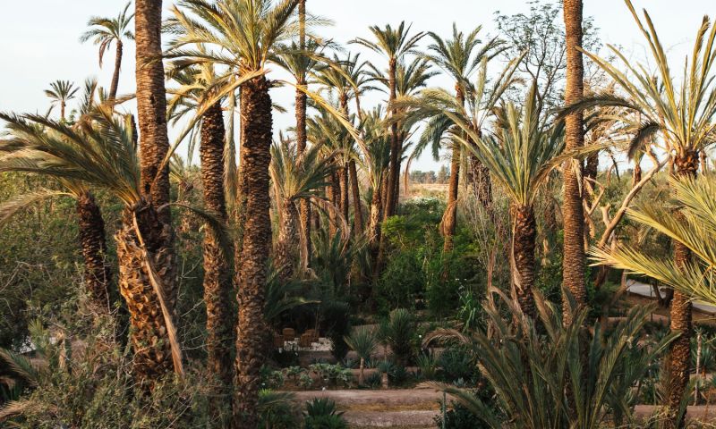 A Magical Stay in Marrakech for Four People