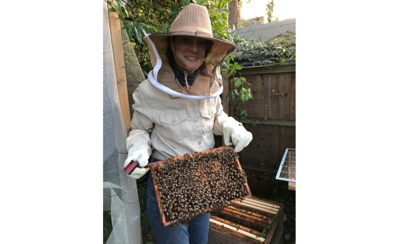 Private bee-keeping experience for six with Katja Tausig