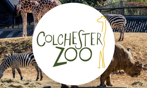 Two Childrens tickets to Colchester Zoo