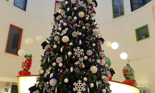 Sponsor a Hospital Christmas Tree