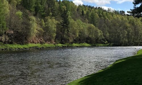 Two rods for 2 days on The Spey