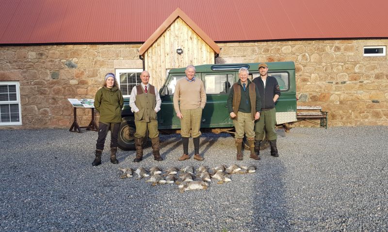 A day's ferreting and rabbit shooting for 3 guns at Auchnerran