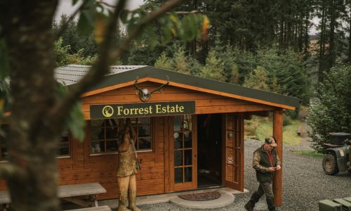 Clay pigeon shooting for 4 at Forrest Estate