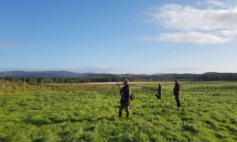 A day's ferreting and rabbit shooting for 3 guns at Auchnerran (SECOND LOT)