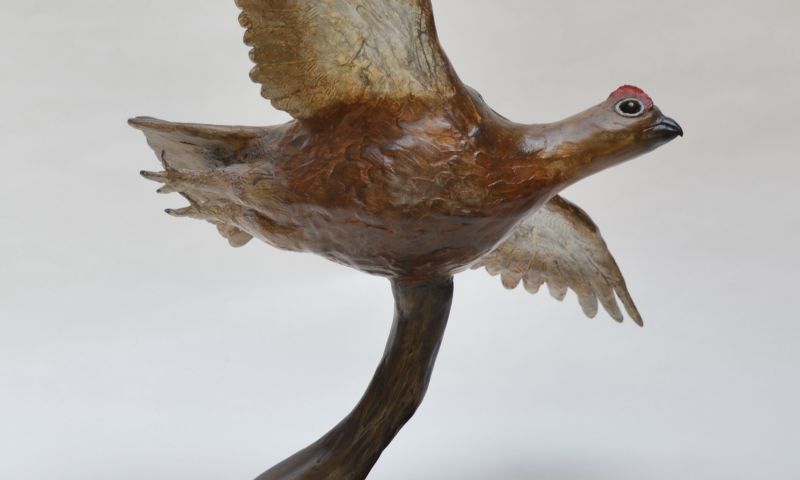 Red Grouse Bronze by Selina Wilson