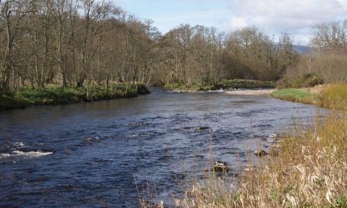 Three days fishing on the South Esk, Angus